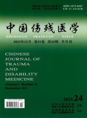 中国伤残医学期刊